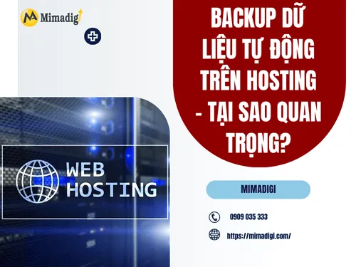 Automatic Data Backup on Hosting – Why Is It Important?