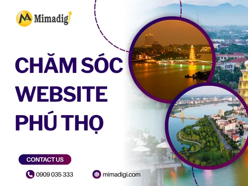 Chăm sóc website Phú Thọ