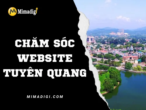 Chăm sóc website Tuyên Quang