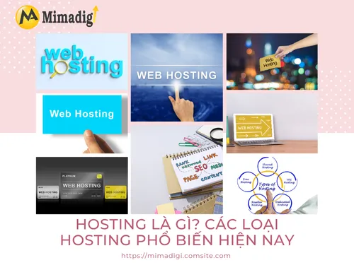 What is Hosting? Popular Hosting Types Today