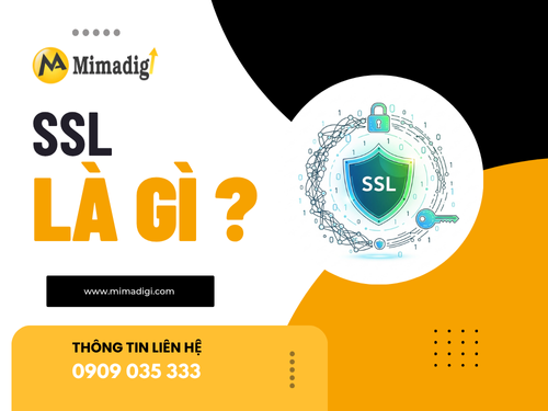 What is SSL? Why does a website need an SSL security certificate?