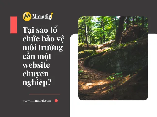 Thiết kế website tổ chức bảo vệ môi trường