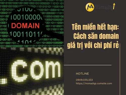 Tên miền hết hạn: Cách săn domain giá trị với chi phí rẻ
