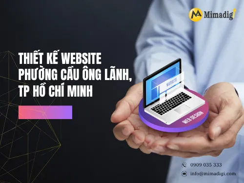 Website Design in Phương Cau Ong Lanh, Ho Chi Minh City