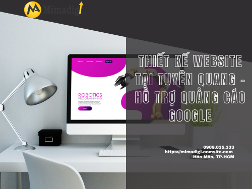 Website Design in Tuyen Quang – Google Ads Support